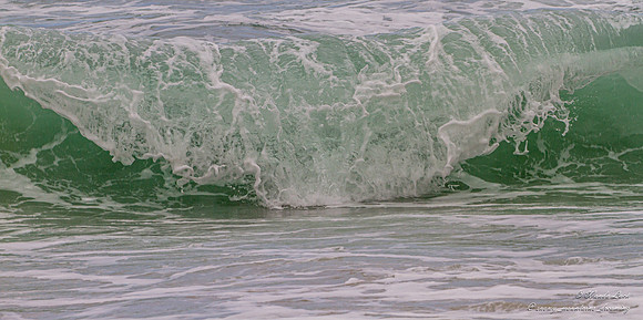 Wollongong South Coast NSW Australia