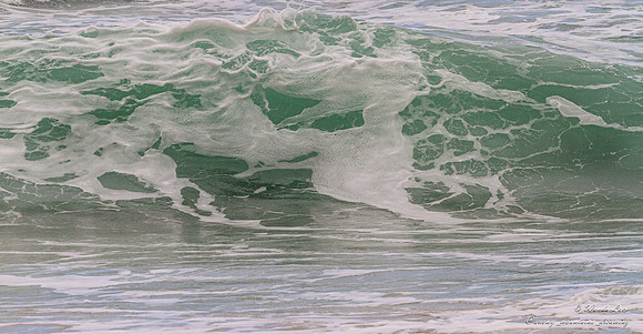 Wollongong South Coast NSW Australia