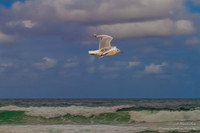Wollongong South Coast NSW Australia