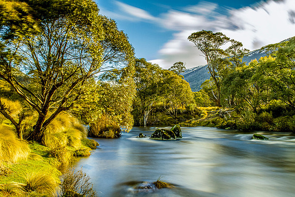 Thredbo River, Ngarigo campground
