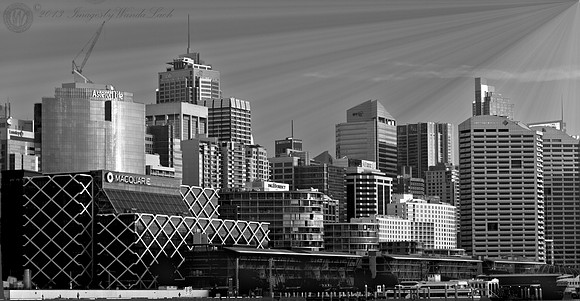Sydney Darling Harbour View