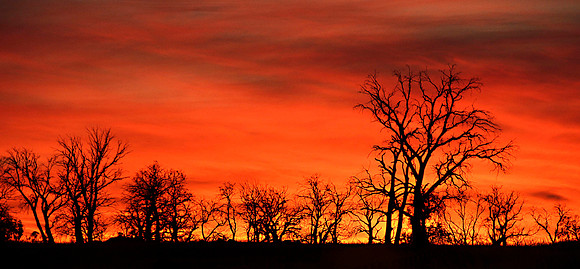 Monaro Firey Sunset