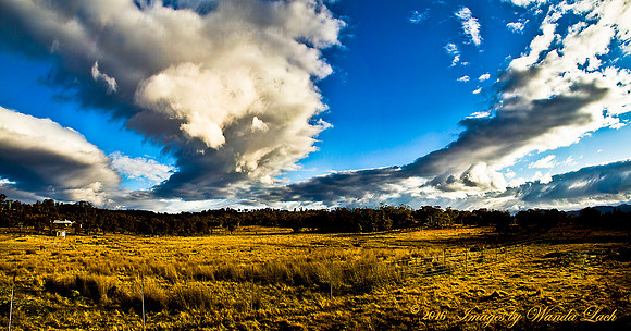 Sweeping Pastoral
