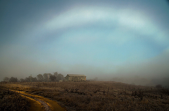 Shearing Shed