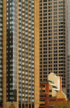 Sydney new and old