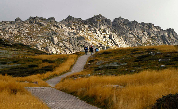 Thredbo Walk to Mt Kosciuszko