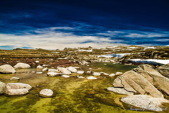 Snowy River vista