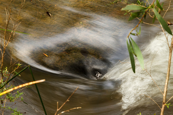 whirlpool