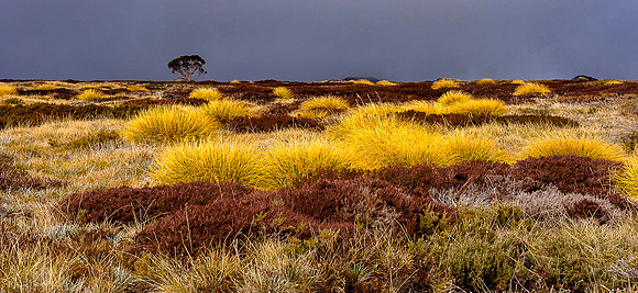 Autumn in Kosciuszko National Park