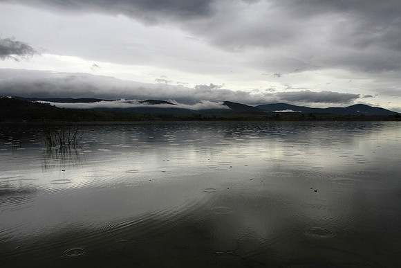 Australian Landscape