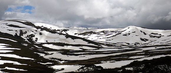 Australian Landscape