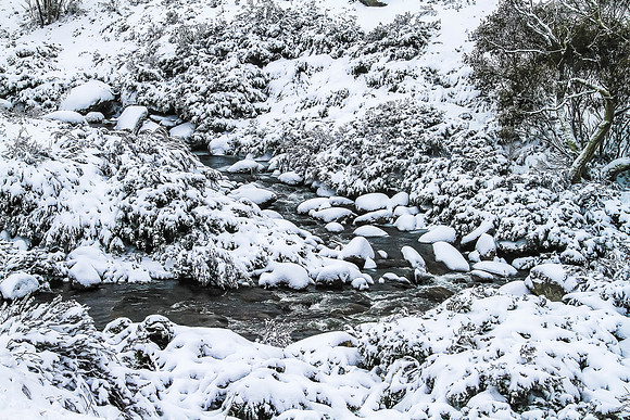 Cascades Stream beautiful in Snow