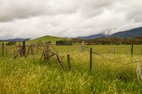 Snowy Mountains Dreaming