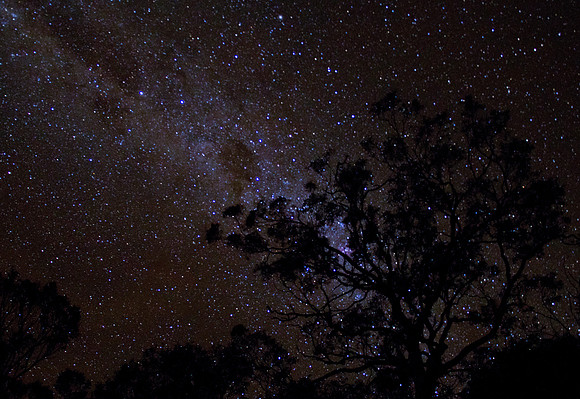 Milky Way amongst the gum trees