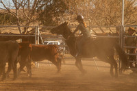 Dalgety Team Penning September 2018