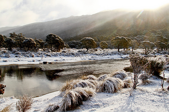 The Diggings, Thredbo